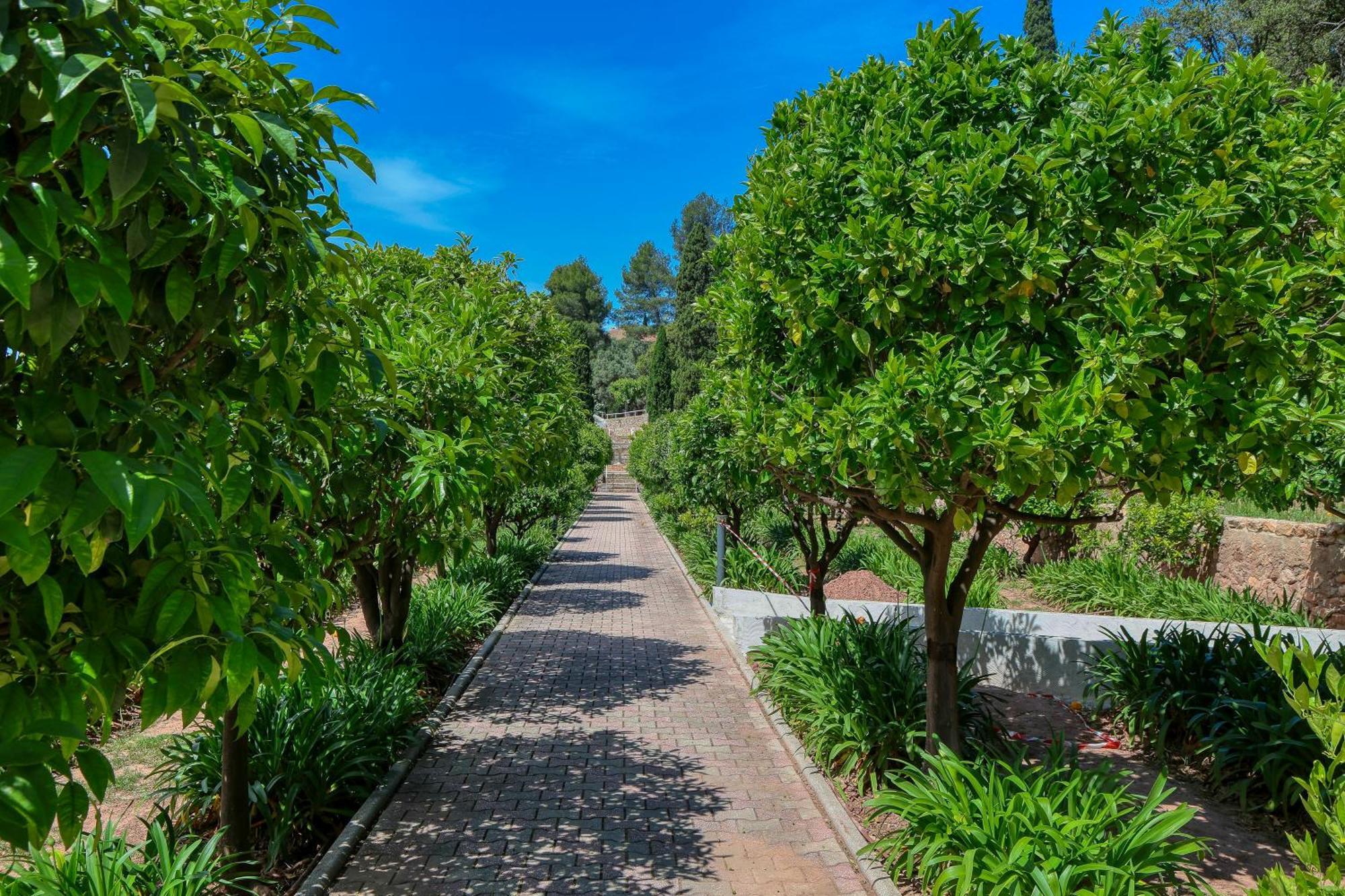 Domaine Des Gueules Cassees La Valette-du-Var Exterior foto